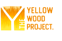 Yellow Wood